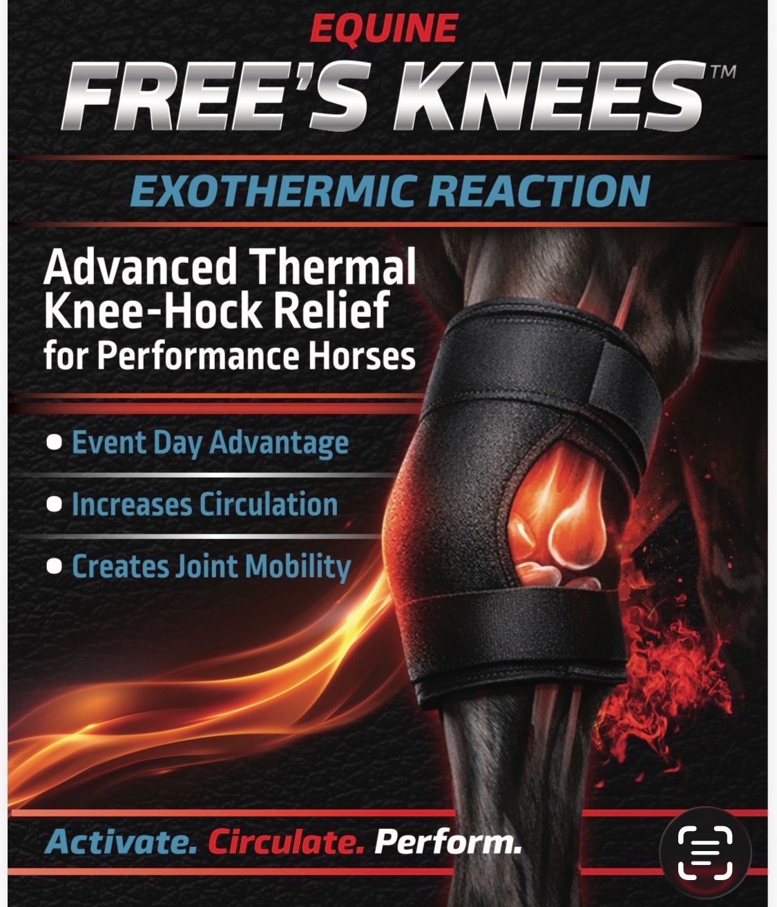 Equine Free's Knees thermal knee-hock support product